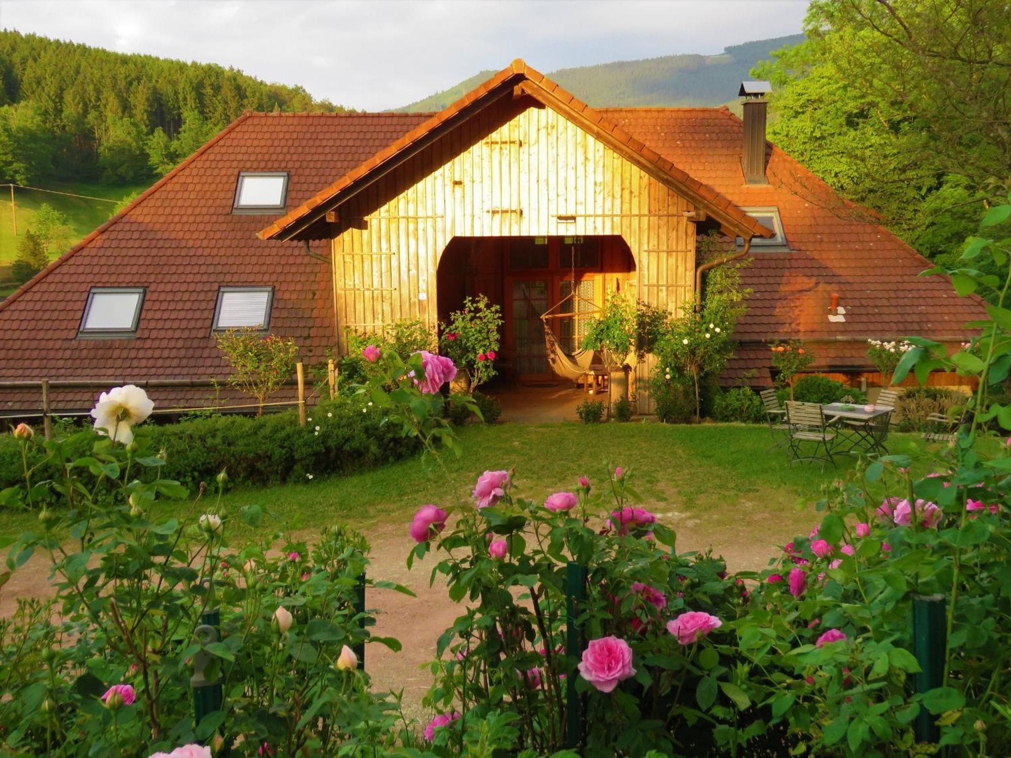 Hernis-Hoefle Elzach Kültér fotó