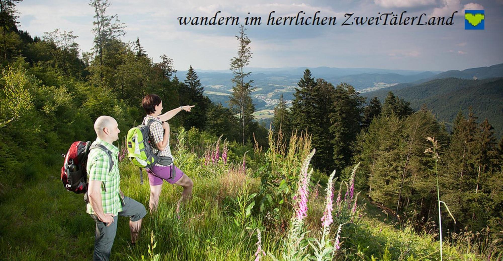 Hernis-Hoefle Elzach Kültér fotó