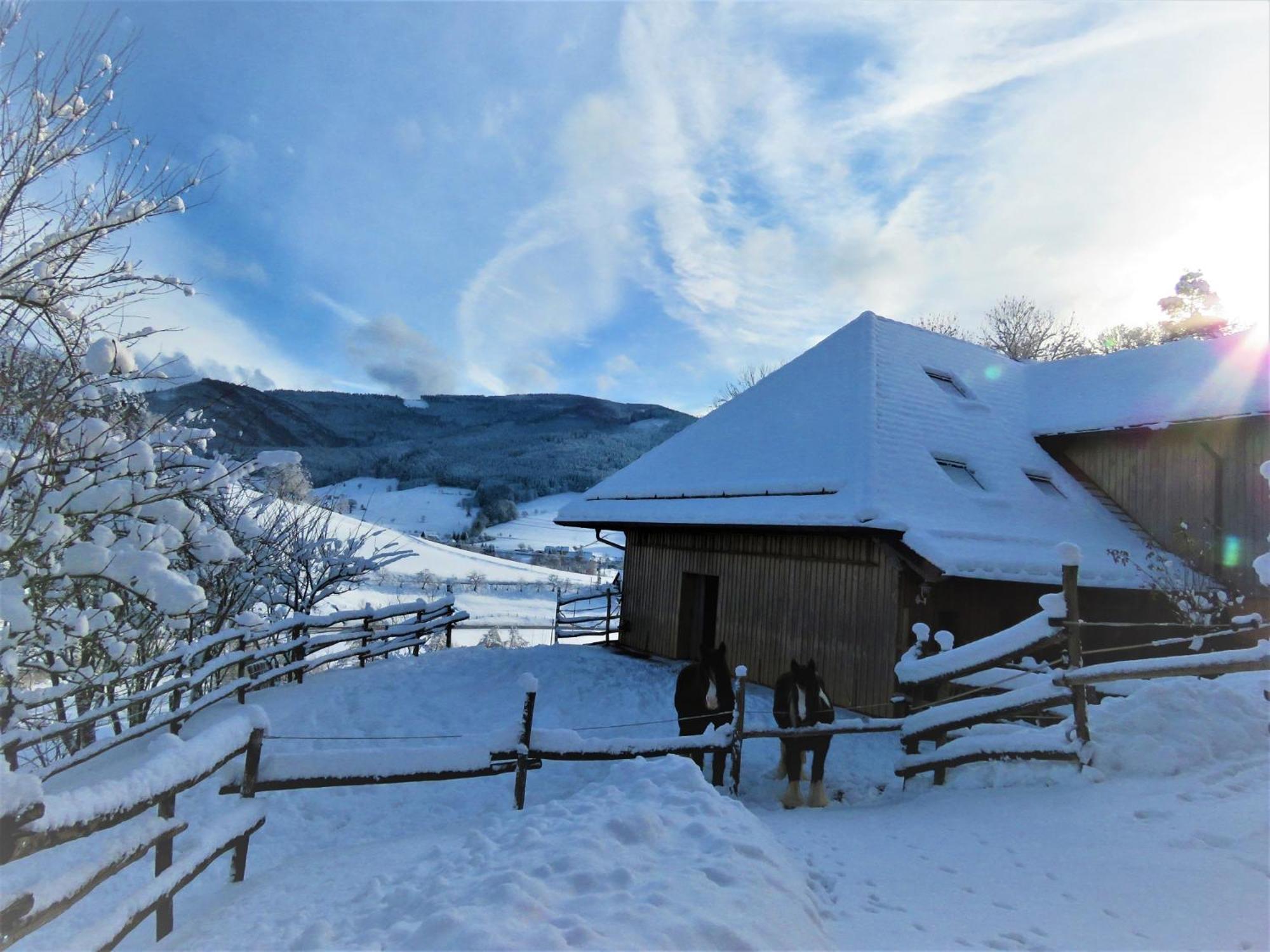 Hernis-Hoefle Elzach Kültér fotó
